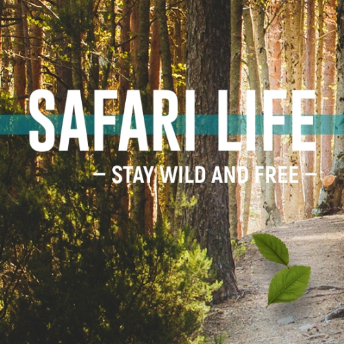 03 Safari Life-S