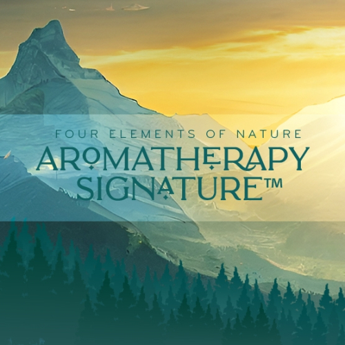 01 Aromatherapy Signature-S